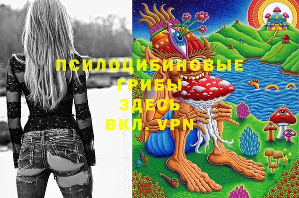 спиды Семилуки